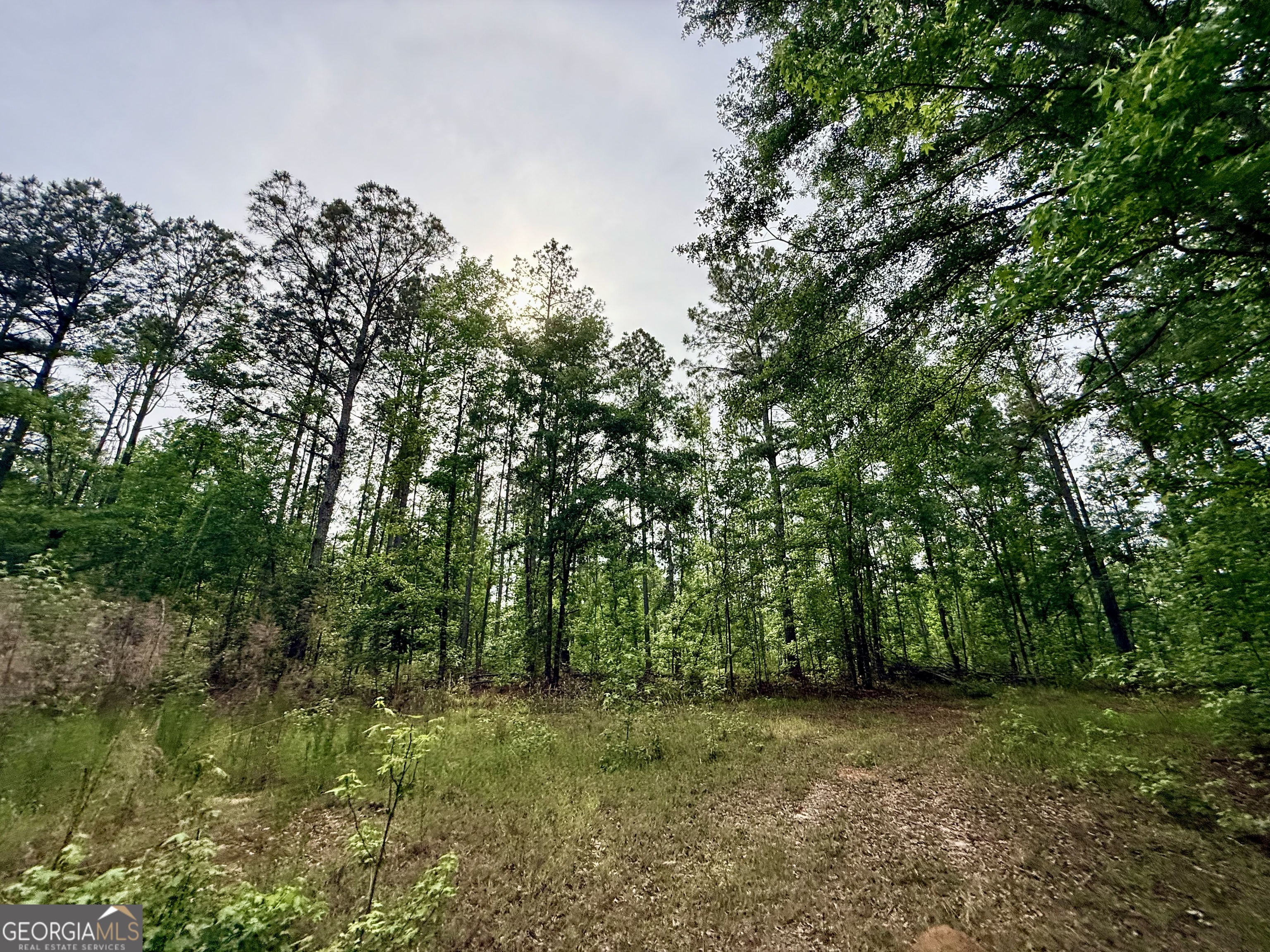 715 Fulsome Creek Road Sparta, GA 31087 - Photo 89 of 117