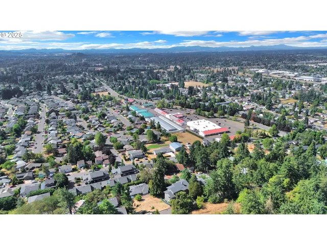 a view of city and mountain