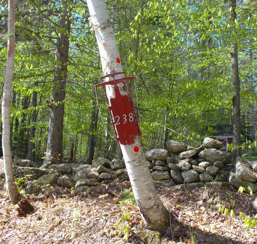 $585,000 | 238 Hemlock Hill Road, Wardsboro, VT 05360