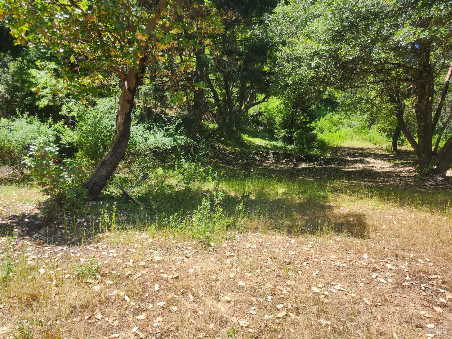 78577 Mina Road Covelo, CA 95428 - Photo 8 of 10