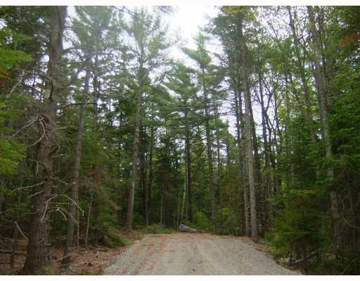 Lot 4 Phantom Brook Road Bar Harbor, ME 04609 - Photo 1 of 1 Land.