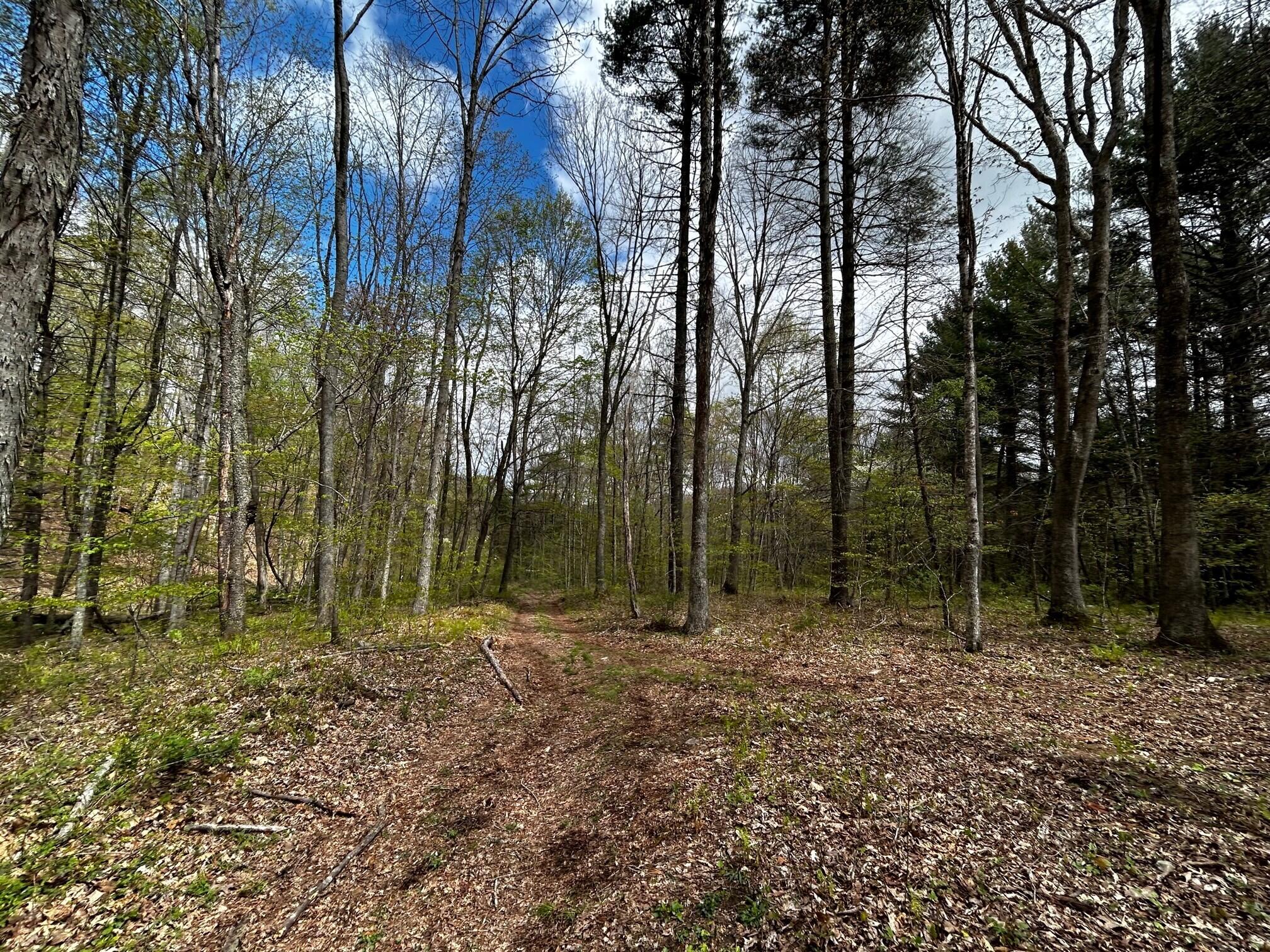 Wolf Hills Road Gap Mills, WV 24941 - Photo 2 of 15 Gallery Image 2