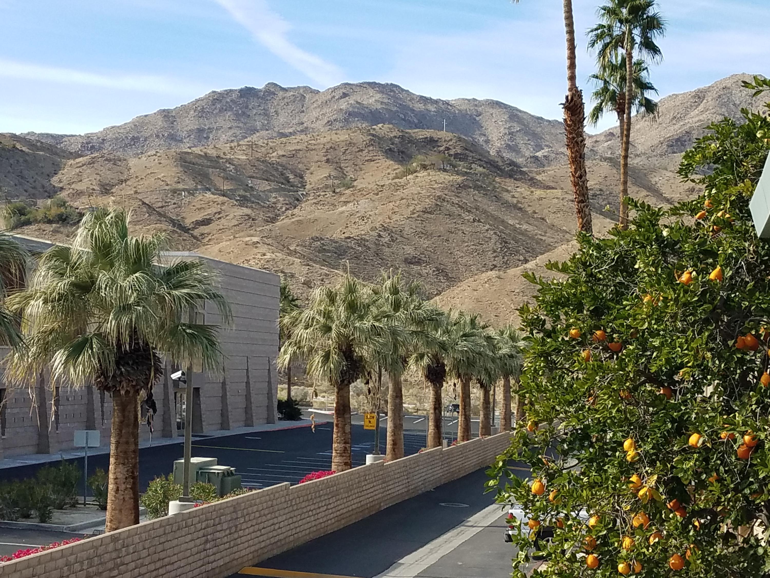 72675 Thrush Road, Unit 4 Palm Desert, CA 92260 - Photo 11 of 12 20200104_125308