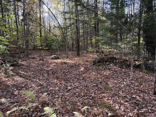 $125,000 | Tbd Green Acrs, Hollis Center, ME 04042