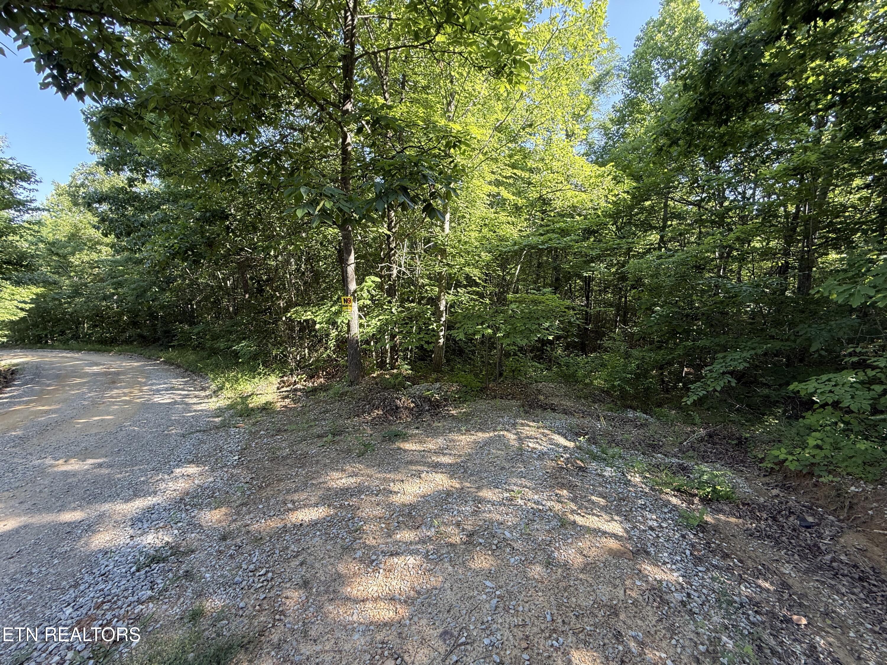 969 Lewallen Road Sunbright, TN 37872 - Photo 10 of 21 IMG_4315