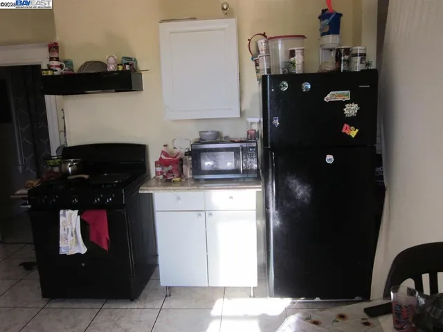 a view of a backyard with potted plants and large trees