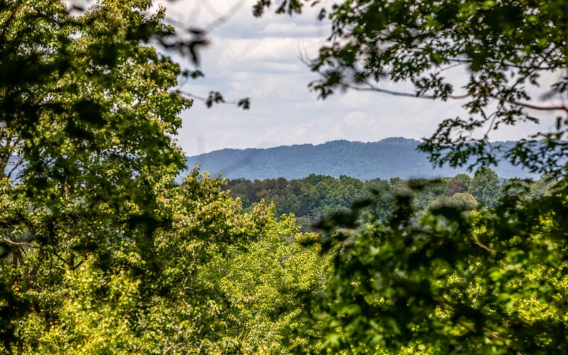 426 Jones Road Epworth, GA 30541 - Photo 2 of 4 Additional View