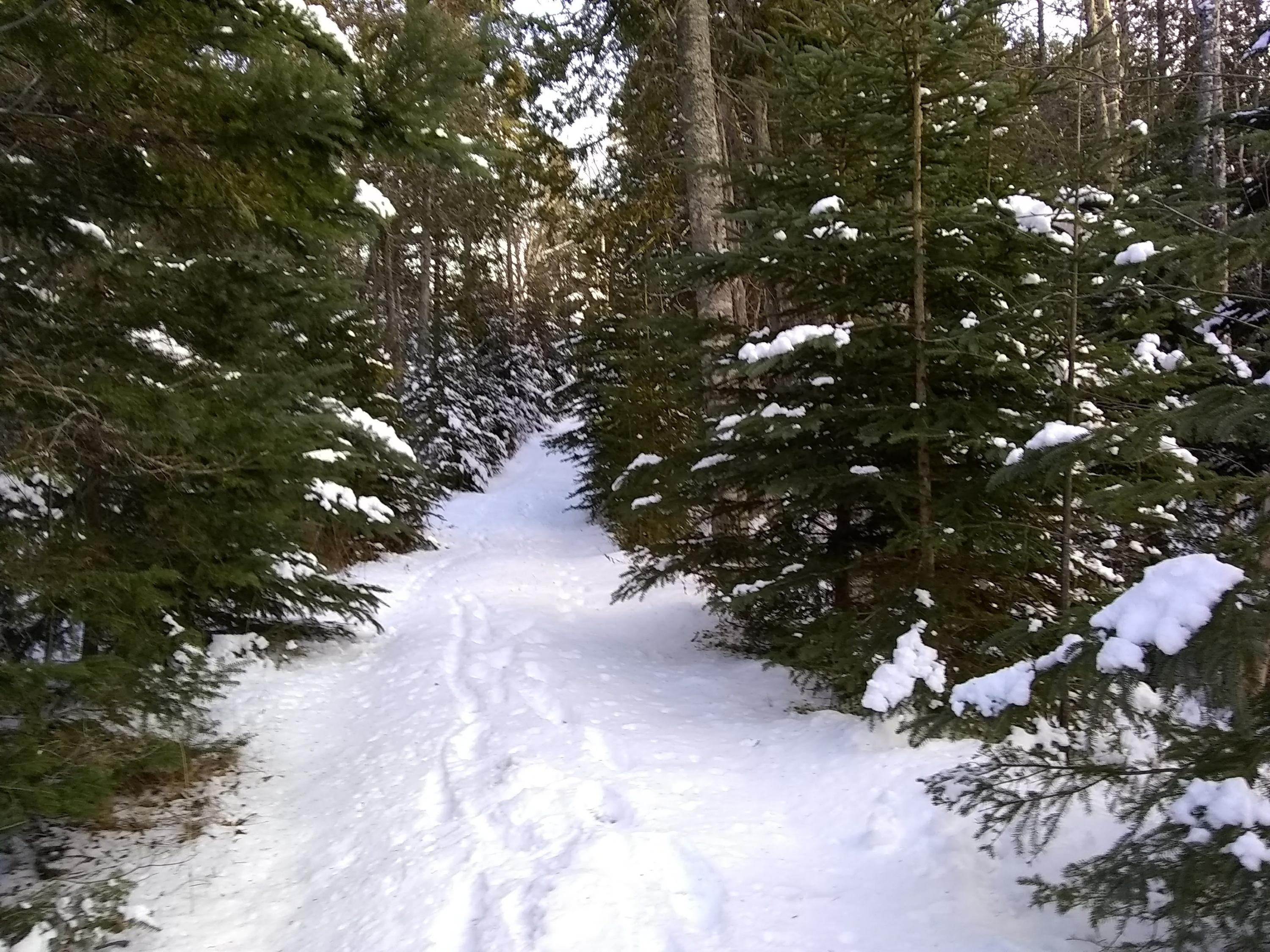 Map 1-lot Map 1-lot Boot Cove Road Lubec, ME 04652 - Photo 7 of 7 IMG_20181123_145447756