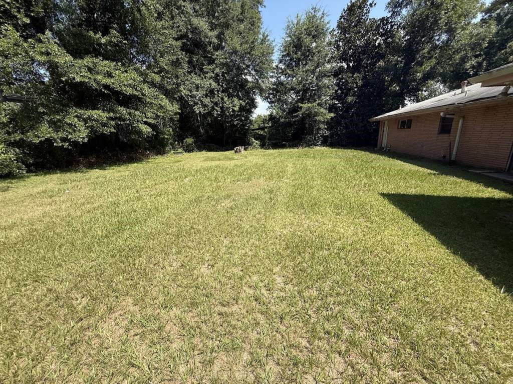 895 South Main Street Jasper, TX 75951 - Photo 2 of 16