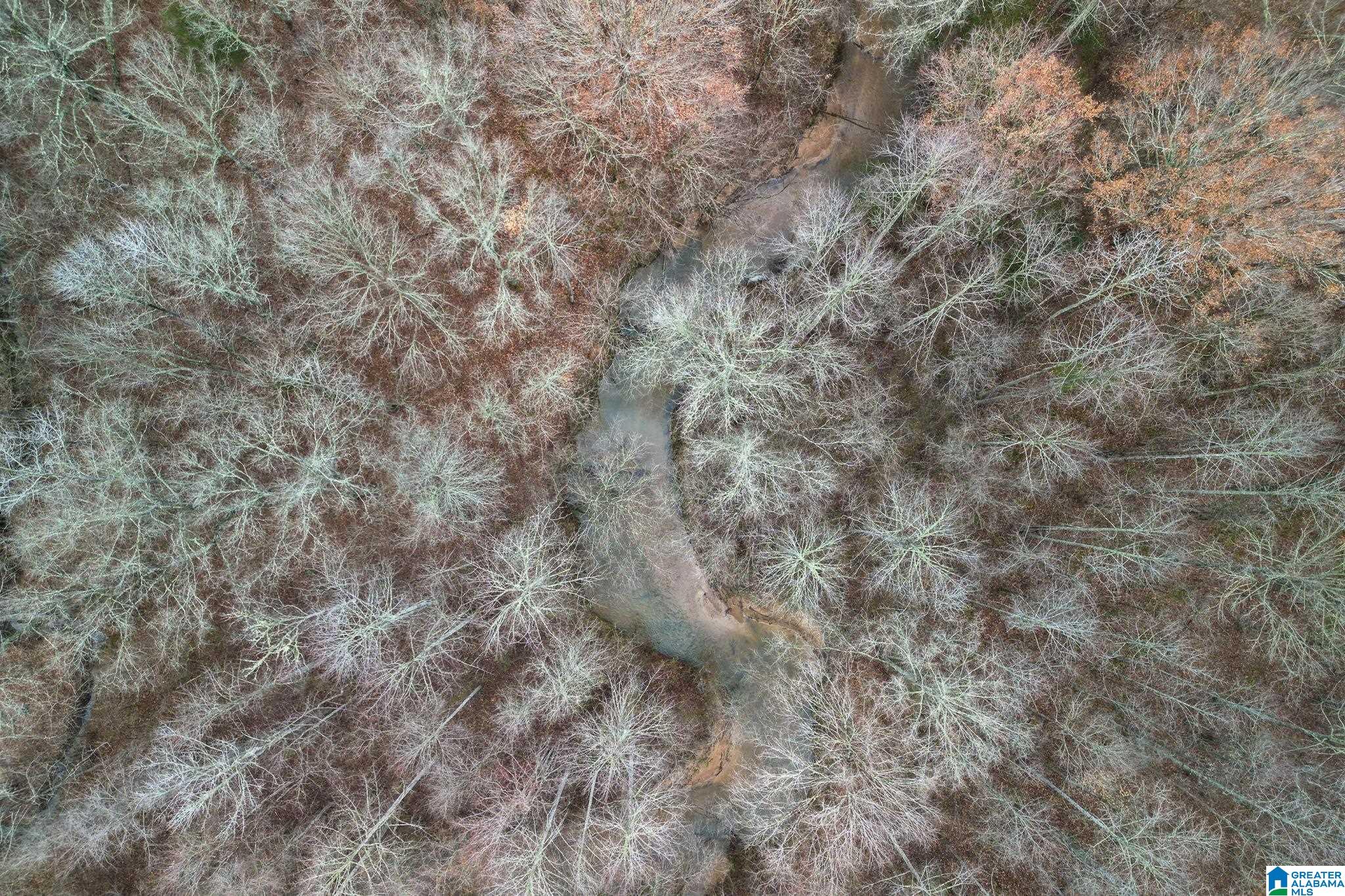 0 Highway 49 Lineville, AL 36266 - Photo 8 of 18