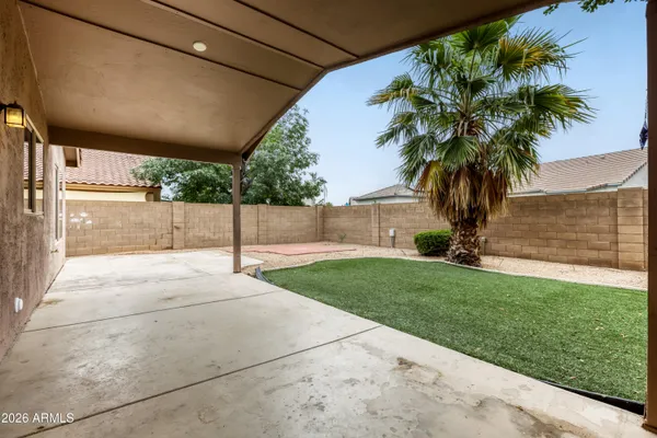a view of a backyard with palm tree
