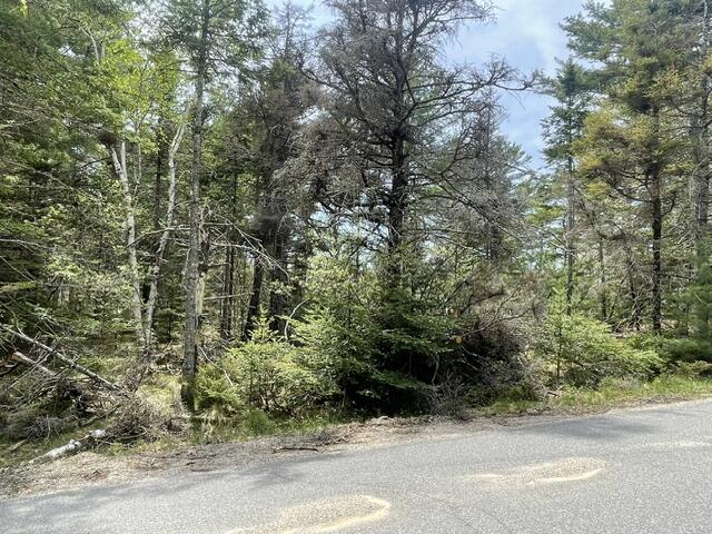 0 Reach Road Deer Isle, ME 04627 - Photo 6 of 8 IMG_7421