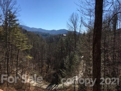 888 Rustic Heights Road Waynesville, NC 28785 - Photo 5 of 25 a view of a forest with a tree