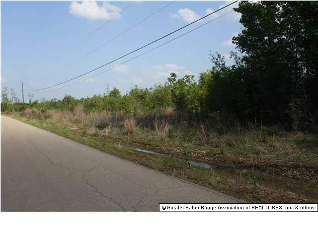 6 Lobell Springfield, LA 70462 - Photo 4 of 5