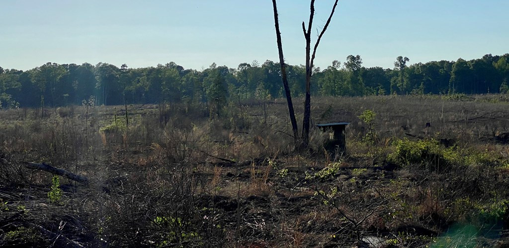 Tbd Mulligan Road Harrisville, MS 39082 - Photo 4 of 13 Photo 4