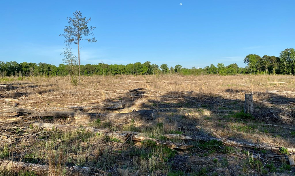 Tbd Mulligan Road Harrisville, MS 39082 - Photo 7 of 13 Photo 7
