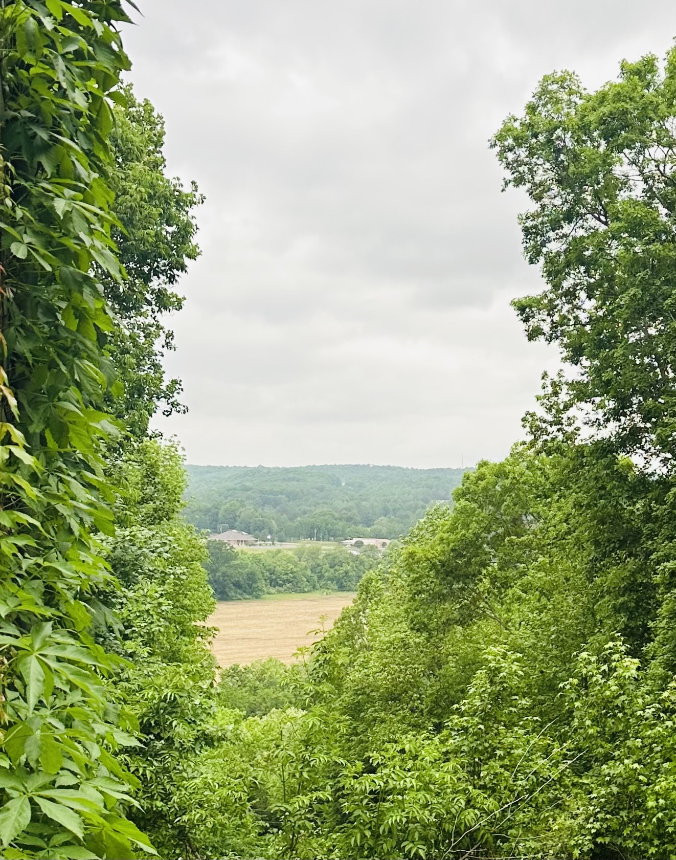 309 River Bluff Road Linden, TN 37096 - Photo 47 of 55