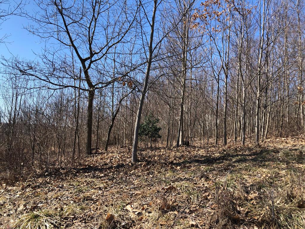 Lot 2 Metz Road Parker, PA 16049 - Photo 6 of 9 Gallery Image 6