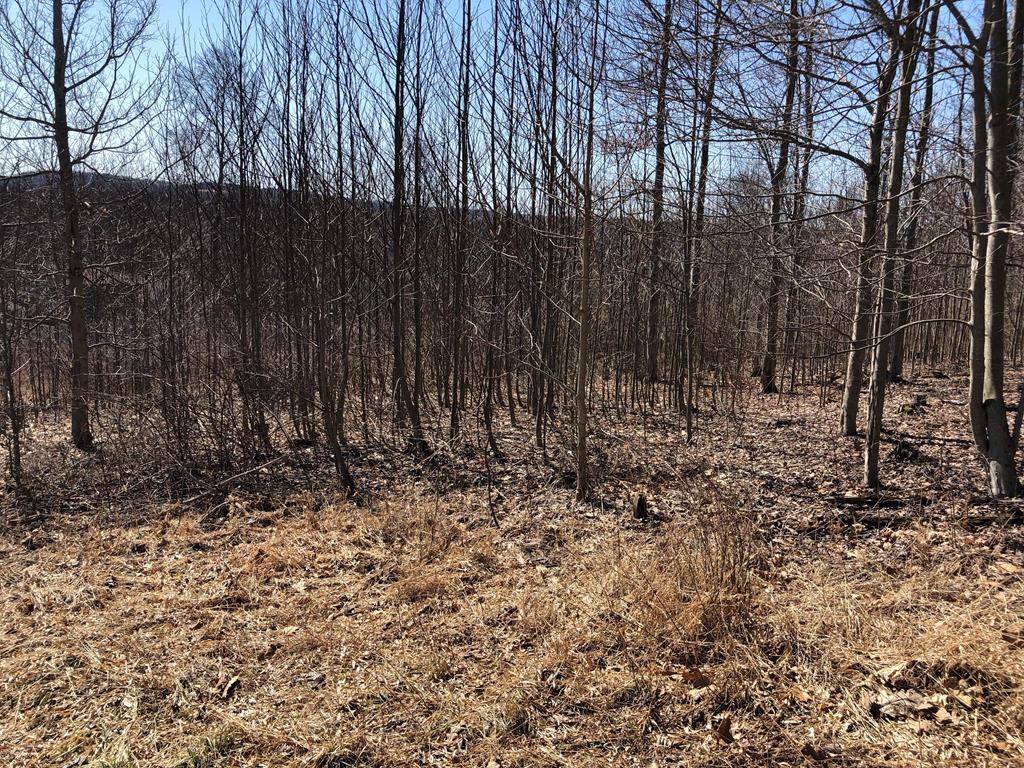 Lot 2 Metz Road Parker, PA 16049 - Photo 7 of 9 Gallery Image 7
