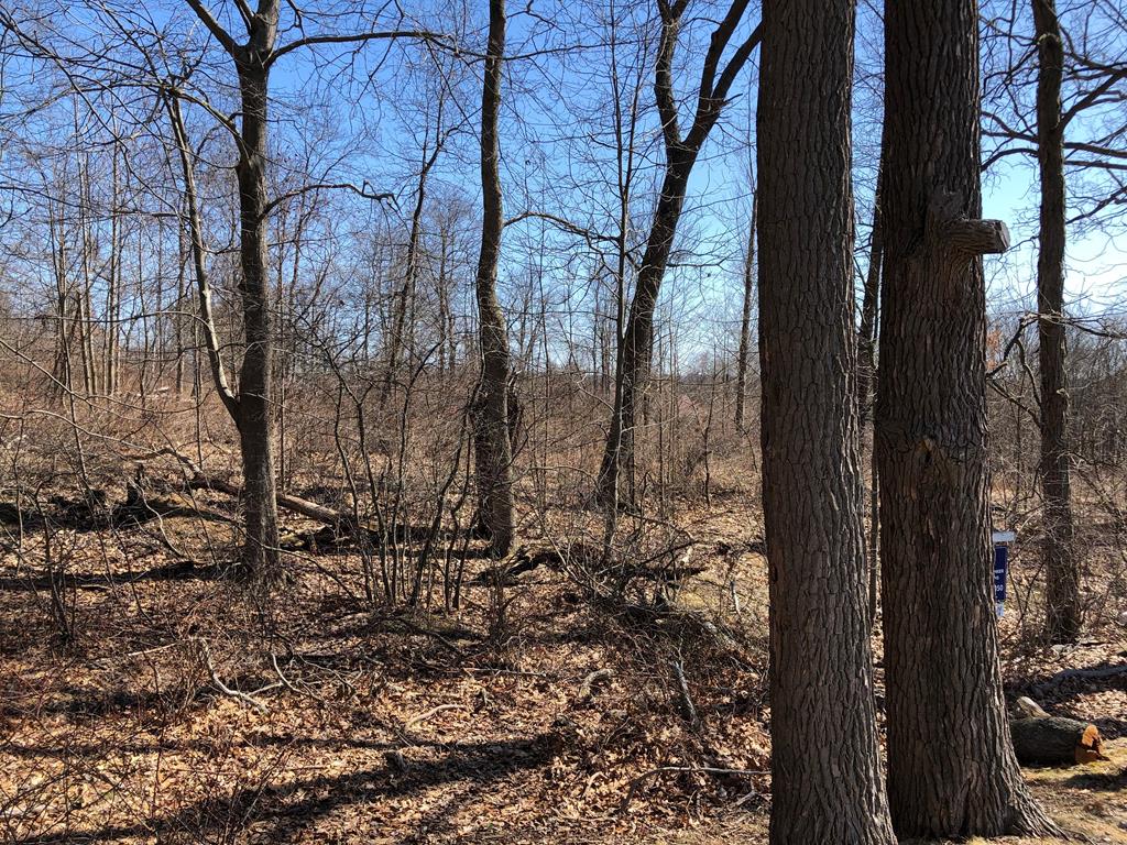 Lot 2 Metz Road Parker, PA 16049 - Photo 8 of 9 Gallery Image 8