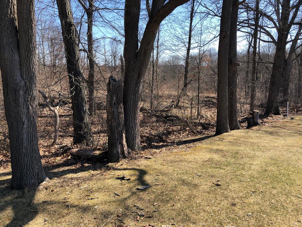 Lot 2 Metz Road Parker, PA 16049 - Photo 9 of 9 Gallery Image 9