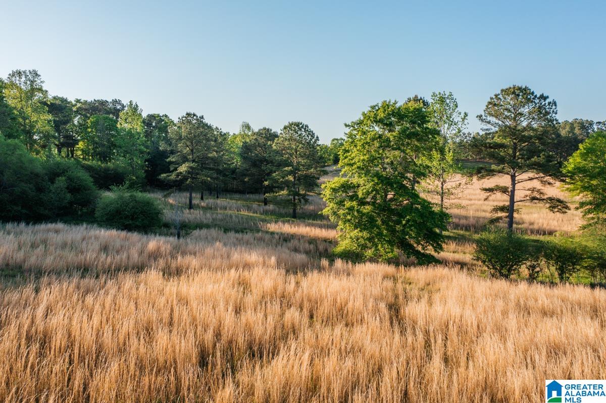 1820 County Road 3 Reform, AL 35481 - Photo 8 of 8