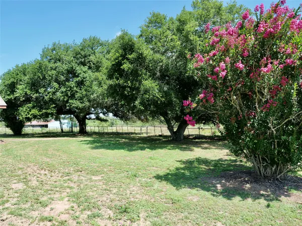 a view of a tree in a yard