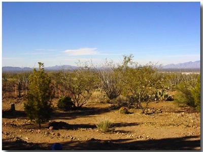9743 East Ocotillo Rim Trail Vail, AZ 85641 - Photo 9 of 9 Gallery Image 9