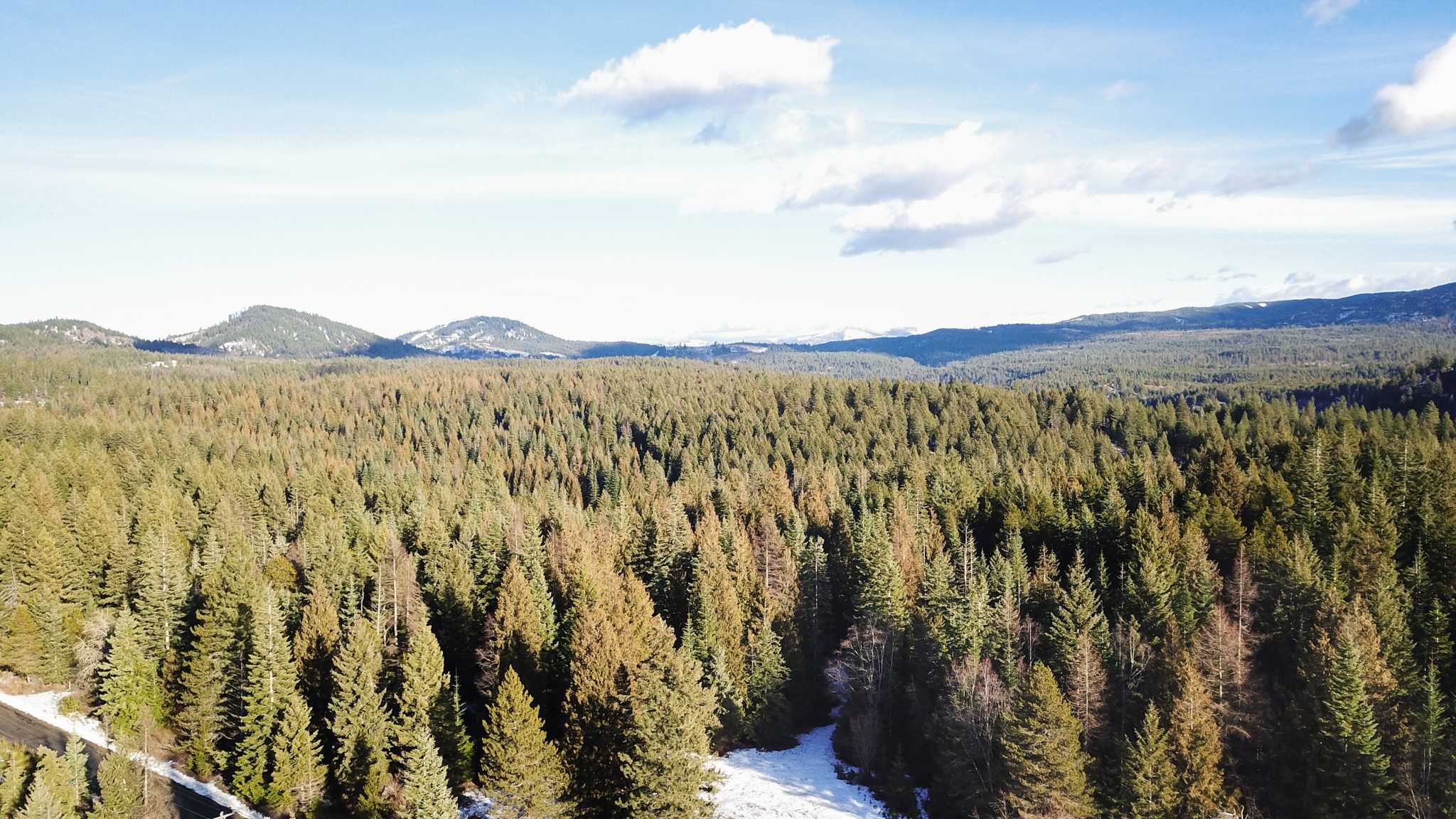 831 North Willms Road Elk, WA 99009 - Photo 11 of 15
