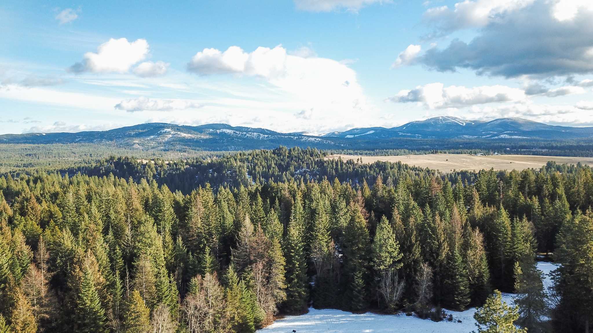 831 North Willms Road Elk, WA 99009 - Photo 12 of 15
