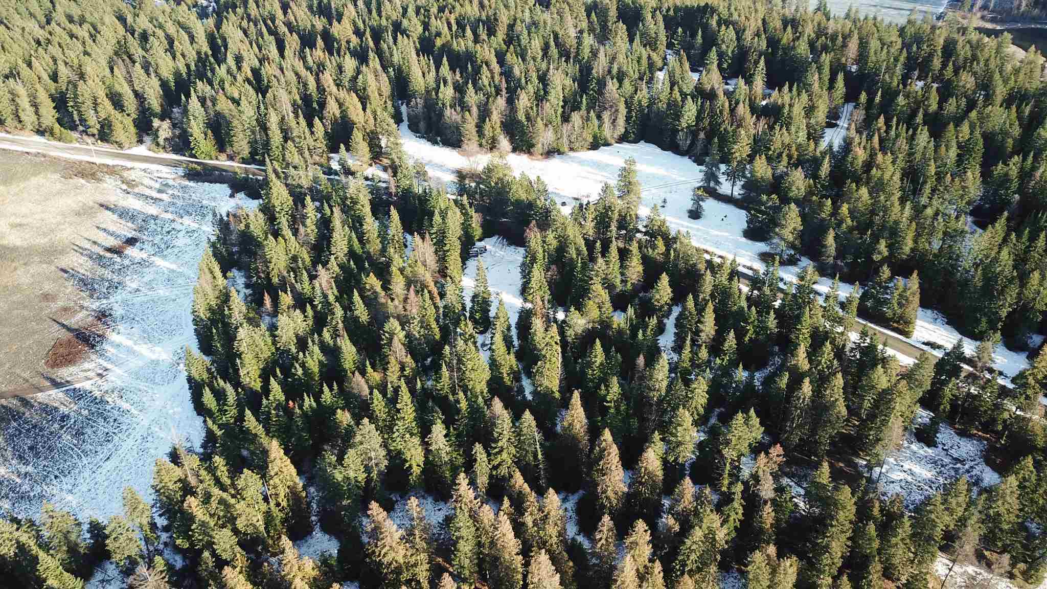 831 North Willms Road Elk, WA 99009 - Photo 13 of 15