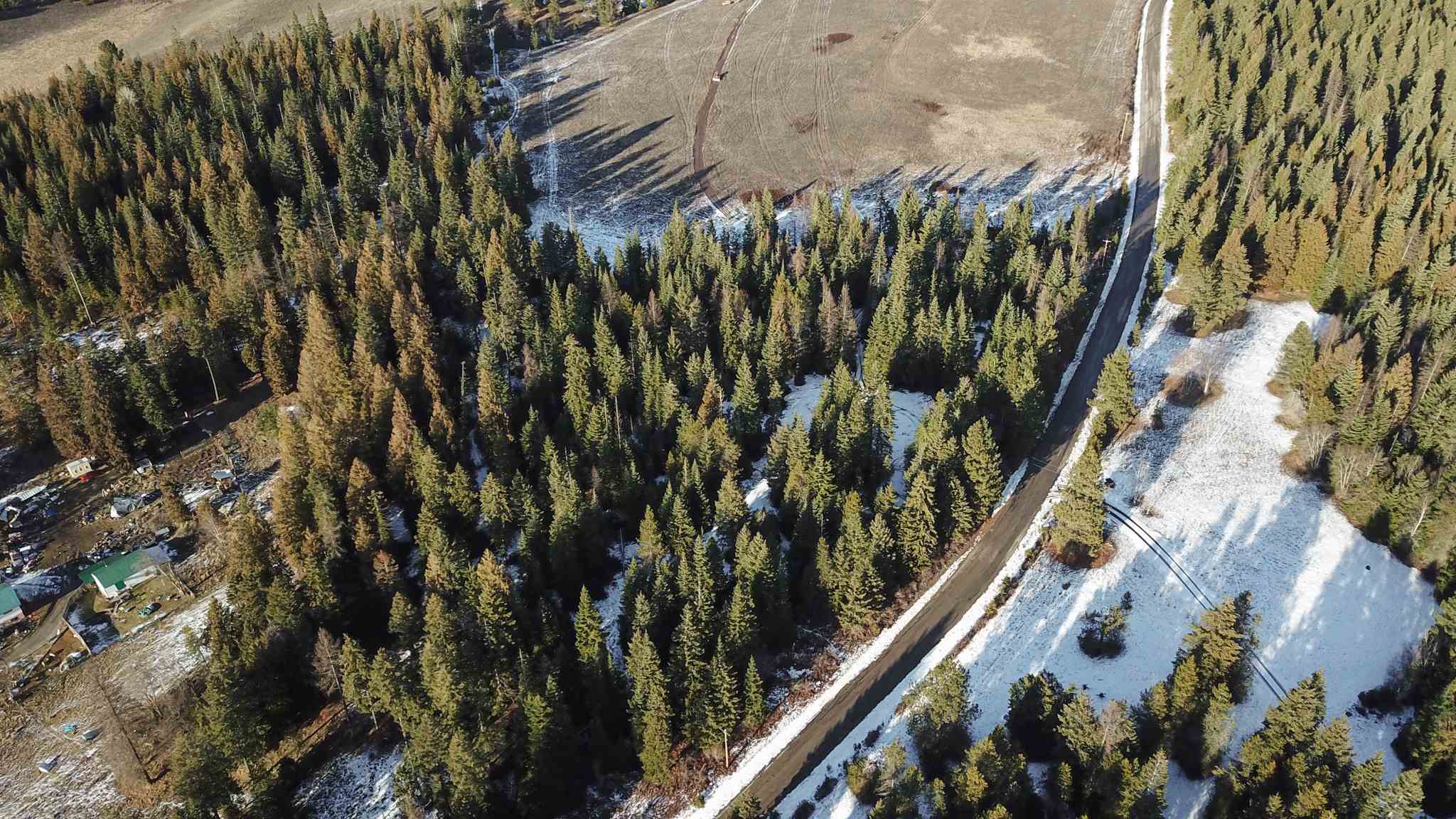 831 North Willms Road Elk, WA 99009 - Photo 14 of 15