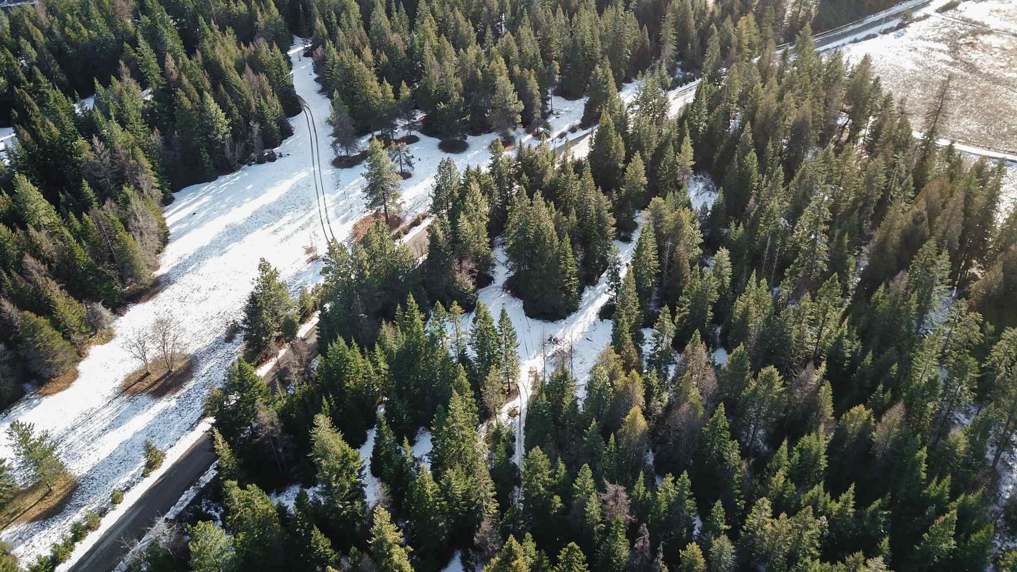 831 North Willms Road Elk, WA 99009 - Photo 5 of 15