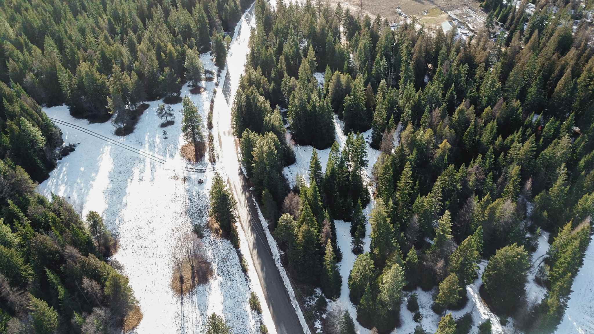 831 North Willms Road Elk, WA 99009 - Photo 6 of 15