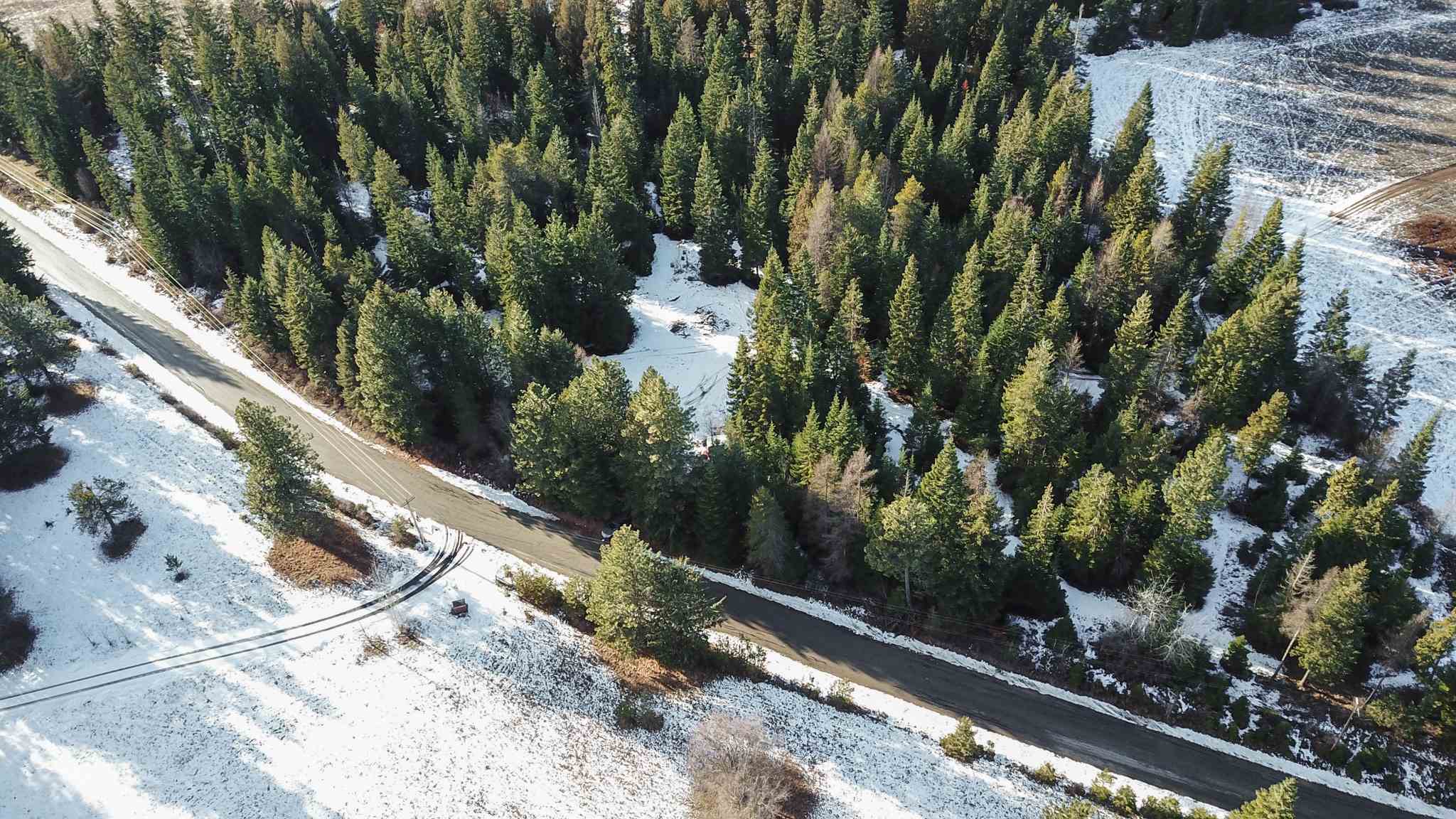 831 North Willms Road Elk, WA 99009 - Photo 7 of 15