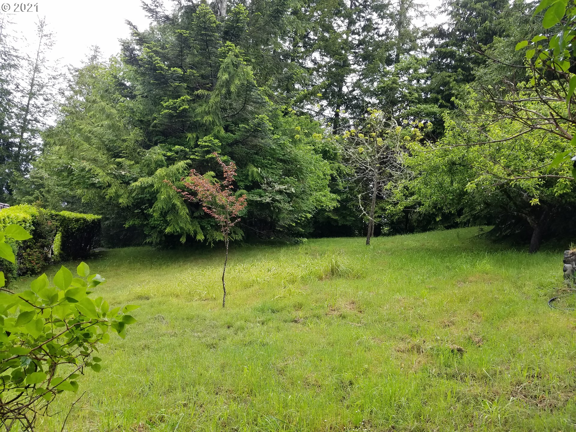 57359 Crest Acres Road Coquille, OR 97423 - Photo 14 of 15 Gallery Image 14