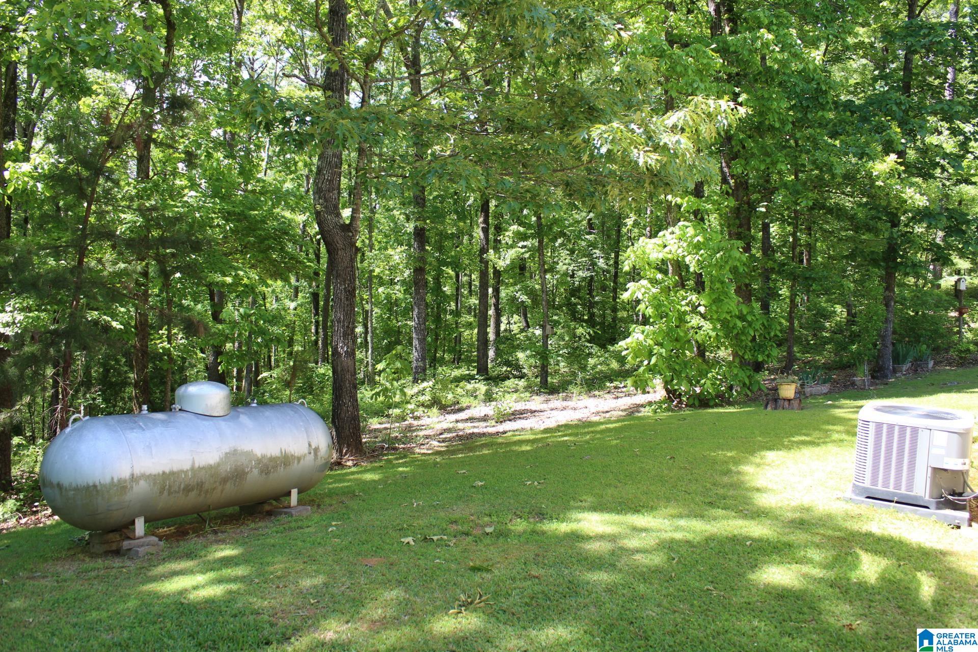 270 Duke School Road Wellington, AL 36279 - Photo 66 of 80
