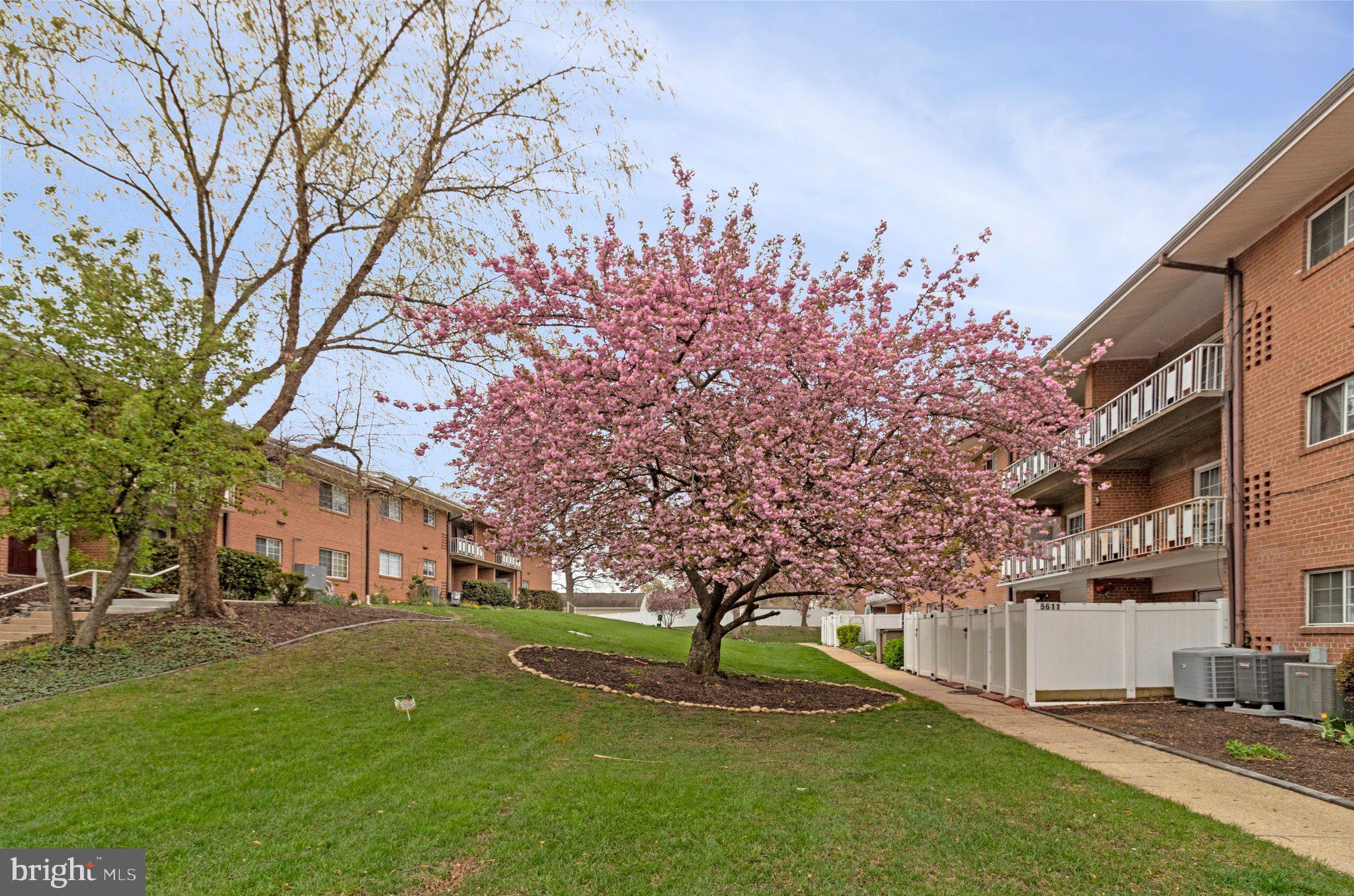 5613 Franconia Road, Unit 103 Alexandria, VA 22310 - Photo 24 of 30