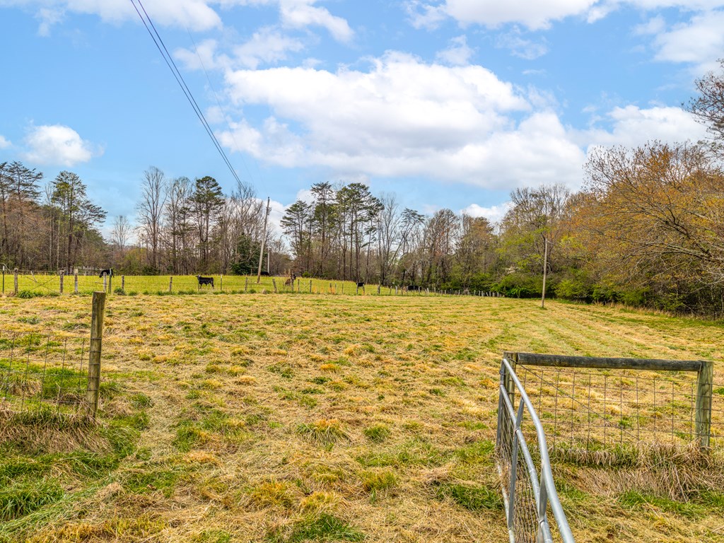 1252 Old Gumlog Road Blairsville, GA 30512 - Photo 70 of 76