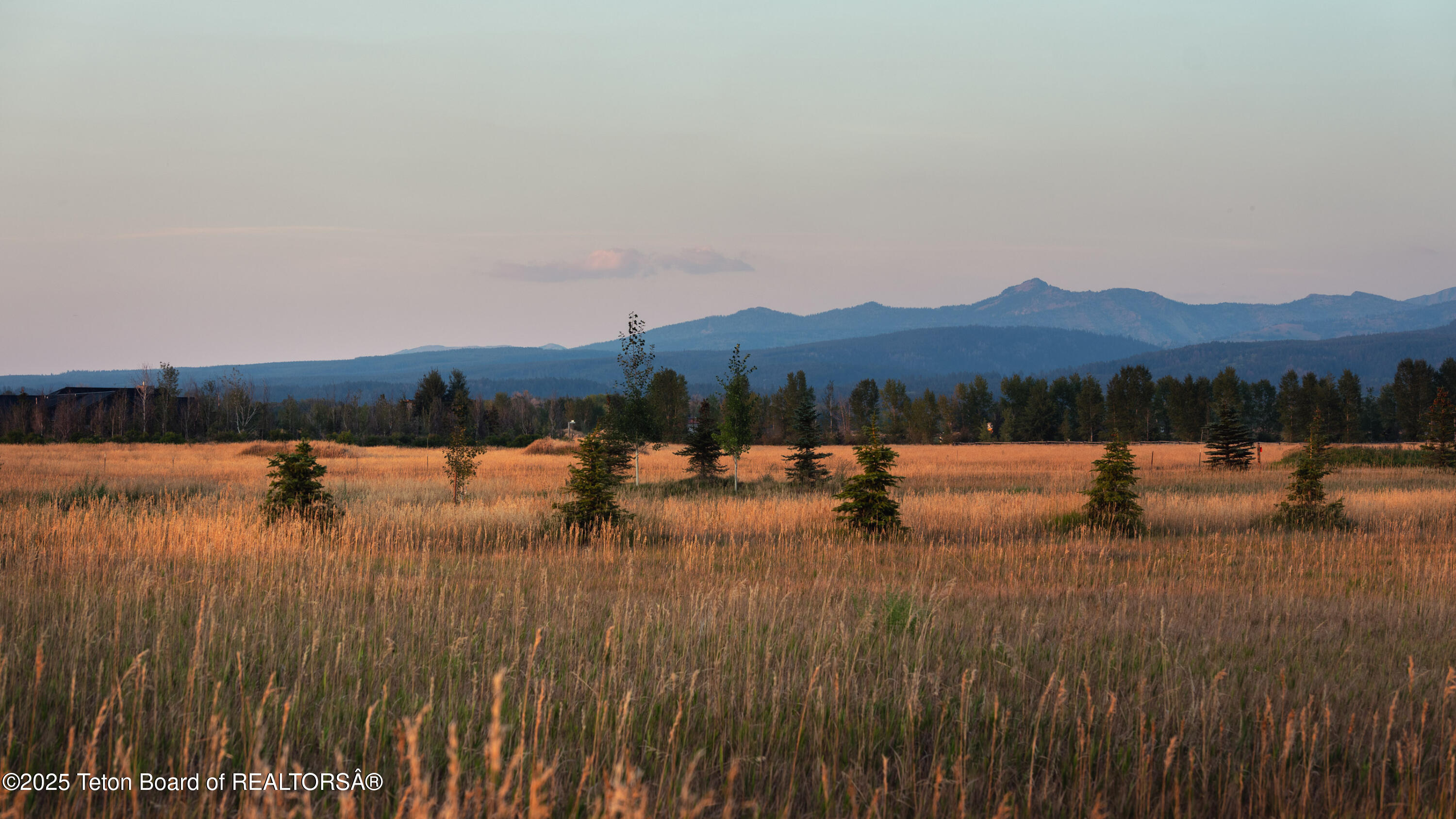 1180 Stillwater Loop Tetonia, ID 83452 - Photo 4 of 7 _DSF7301