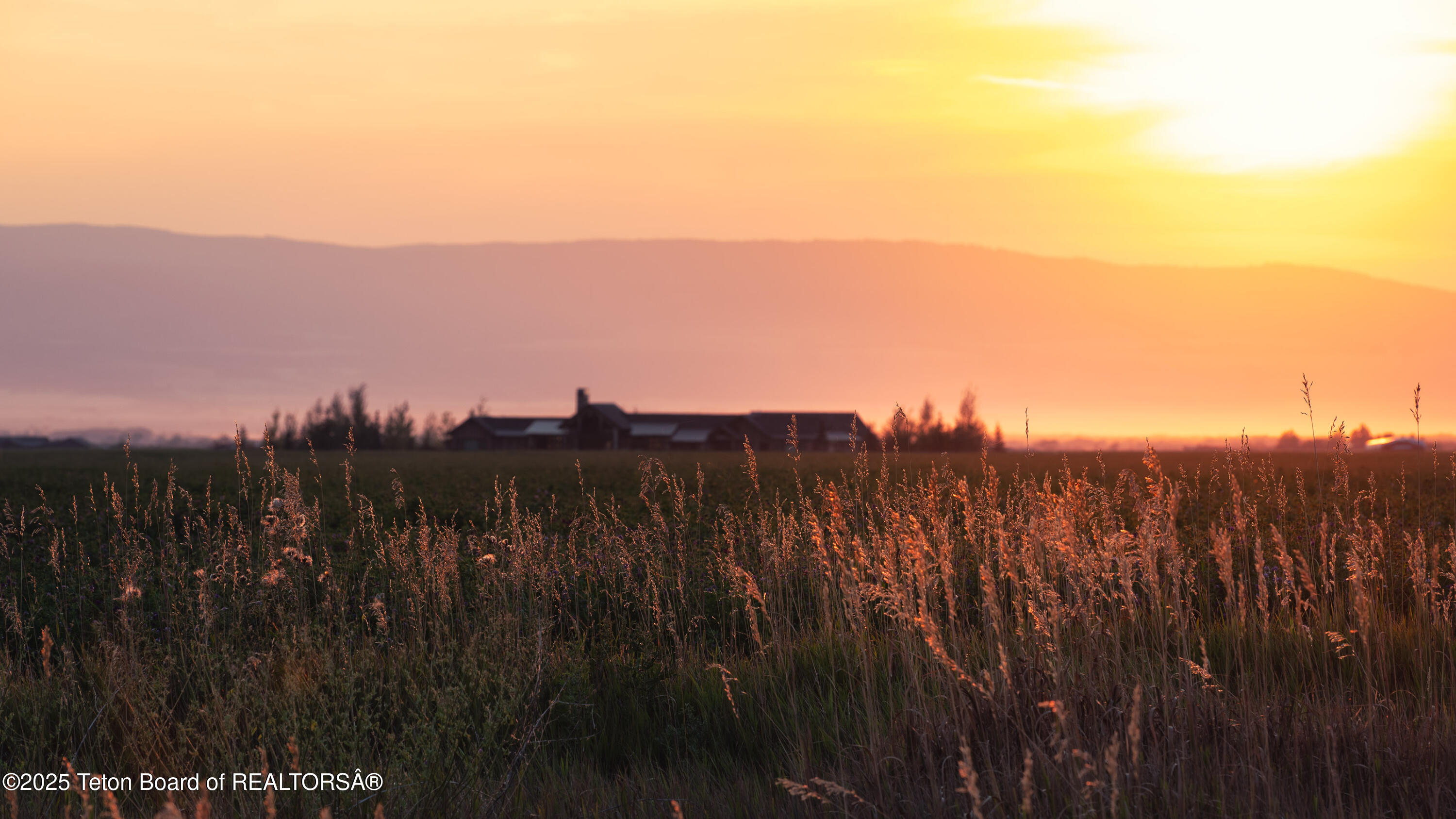 1180 Stillwater Loop Tetonia, ID 83452 - Photo 6 of 7 _DSF7304