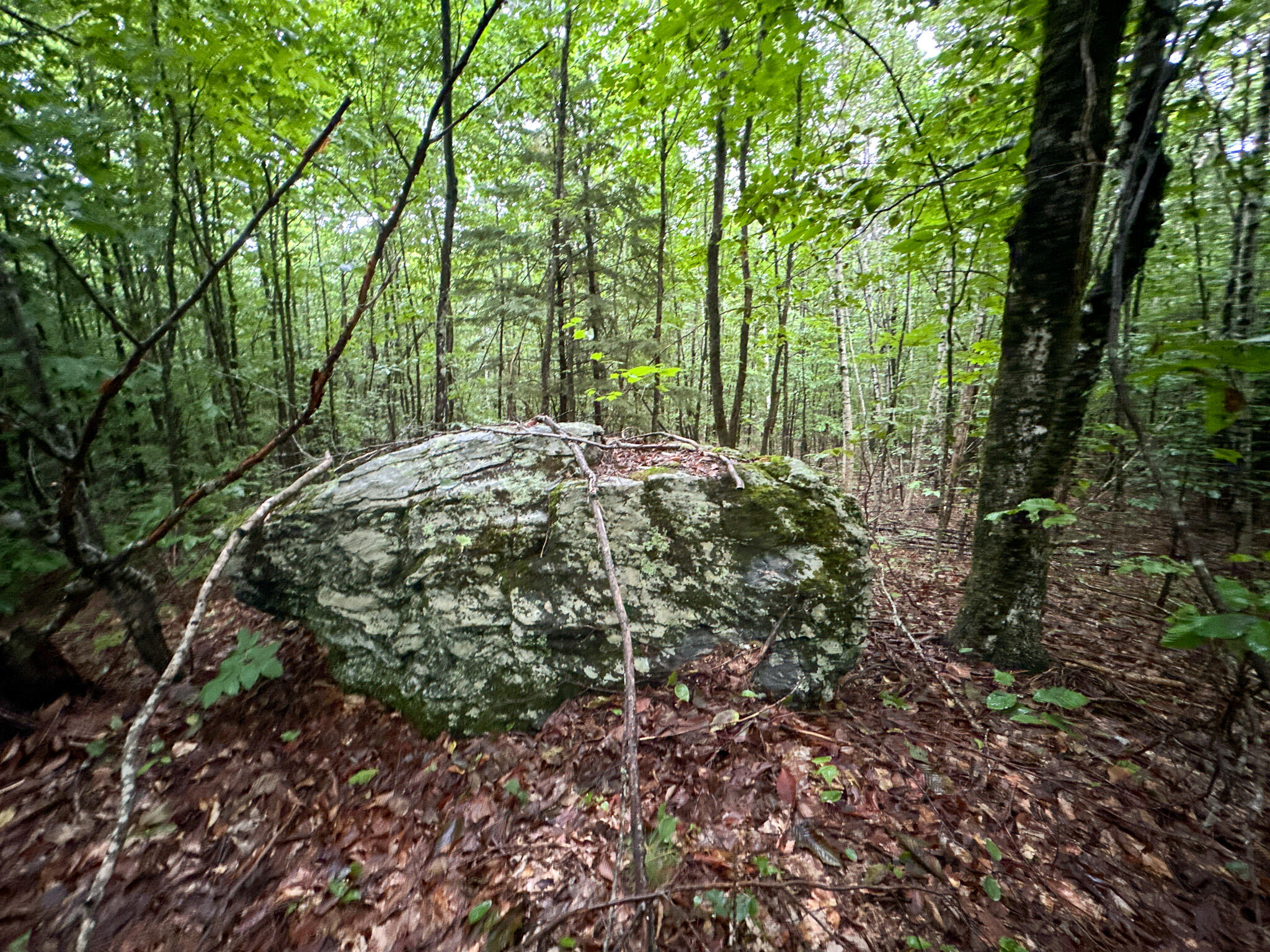 563 West Old Main Road Lowell, ME 04493 - Photo 5 of 8 5