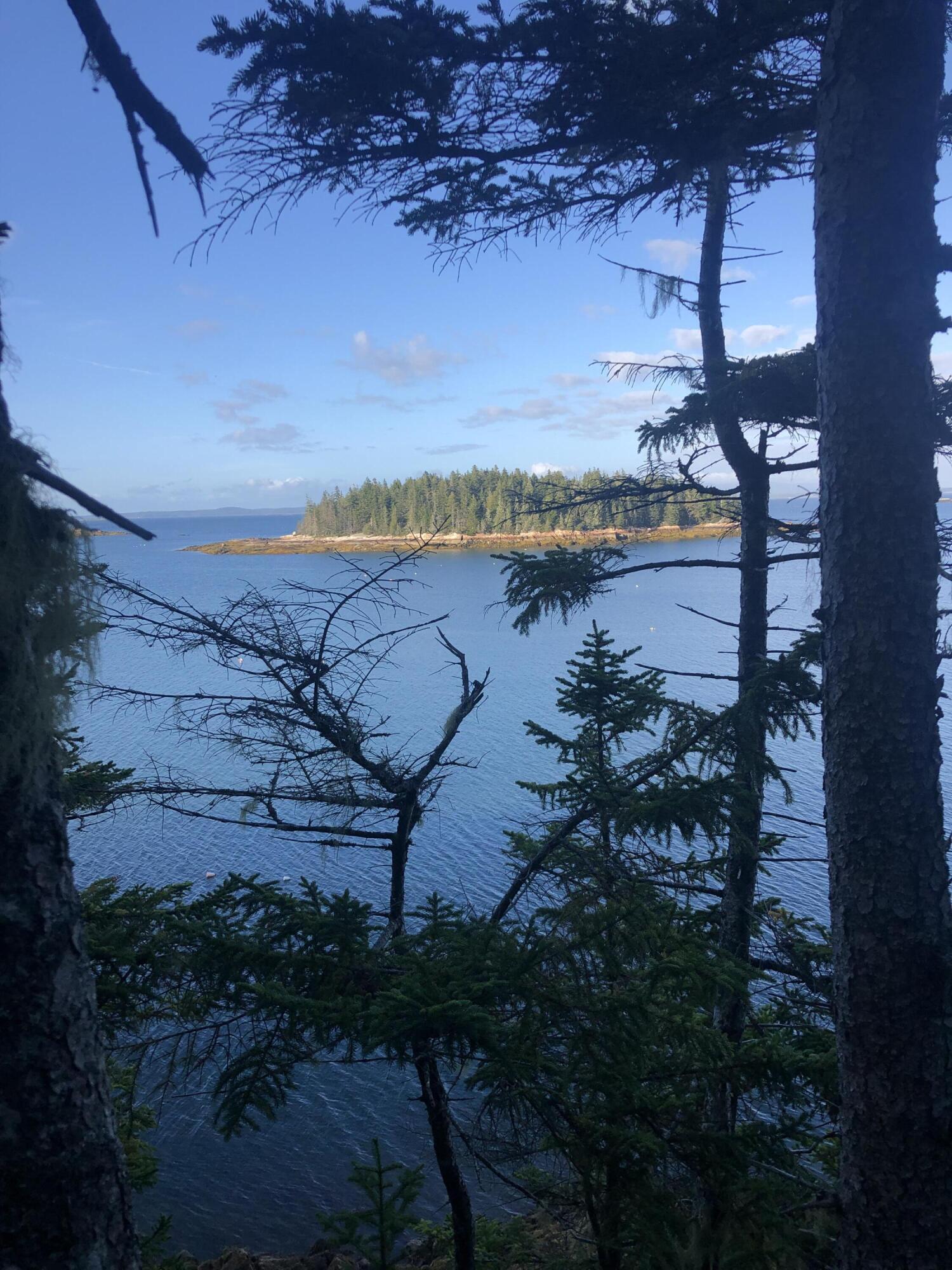 120 Nubble Road, Unit NORTH LOT Swans Island, ME 04685 - Photo 7 of 13 B23DA37B-74B5-43C2-B830-CB91BDAEEED9