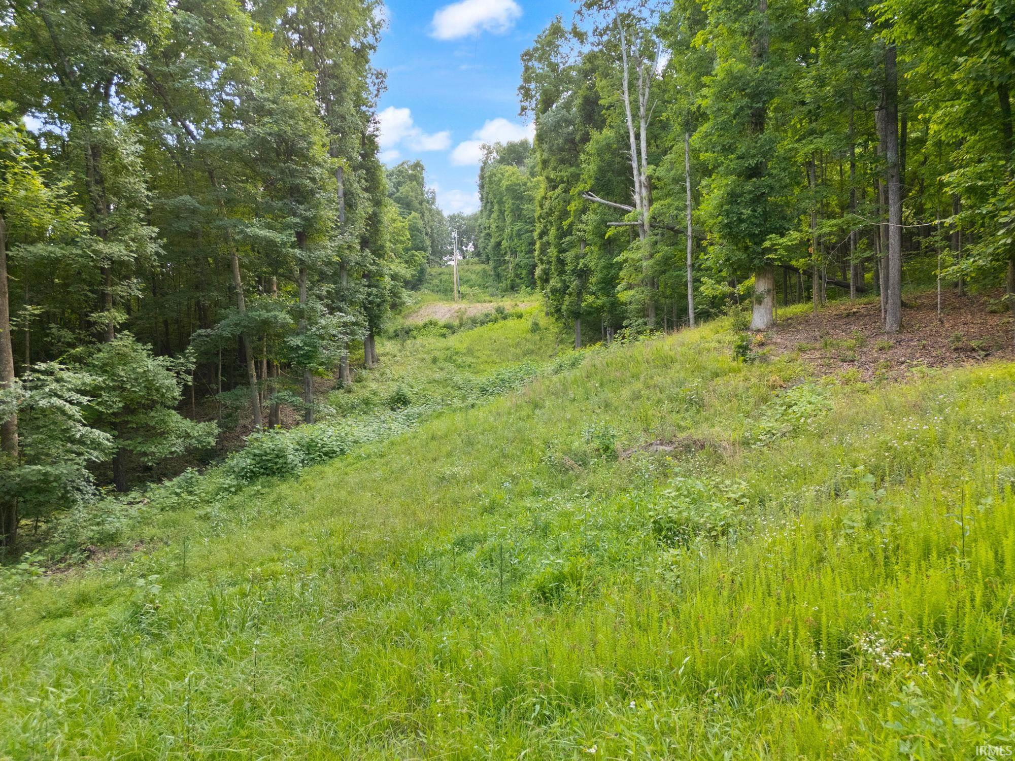 3681 Jericho Road Taswell, IN 47175 - Photo 21 of 30