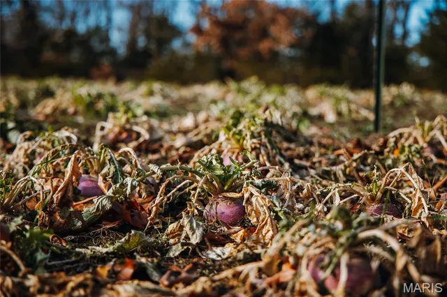 $589,000 | -tbd Hwy Hh, Chamois, MO 65024