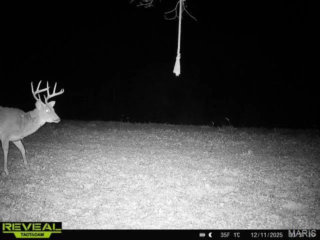 $589,000 | -tbd Hwy Hh, Chamois, MO 65024