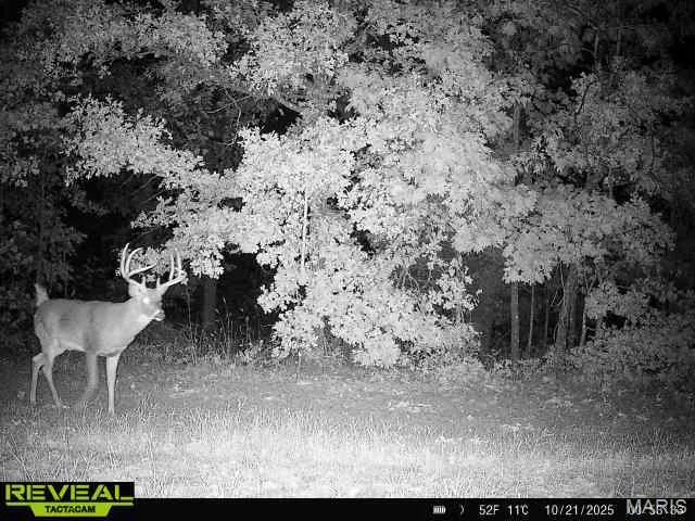 $589,000 | -tbd Hwy Hh, Chamois, MO 65024