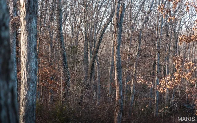 $589,000 | -tbd Hwy Hh, Chamois, MO 65024