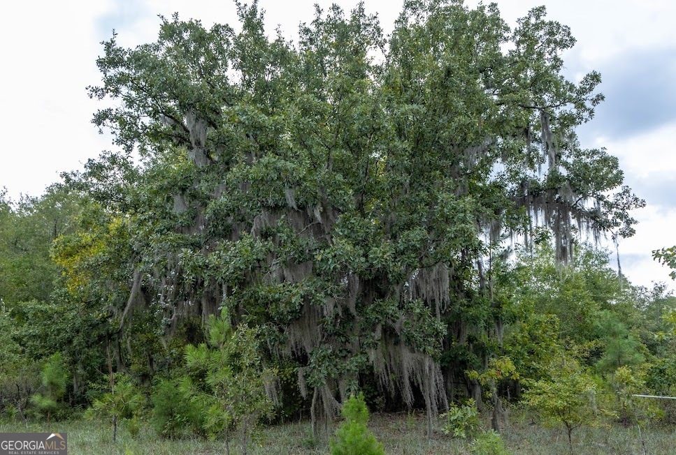 52-acres Pineville Rd