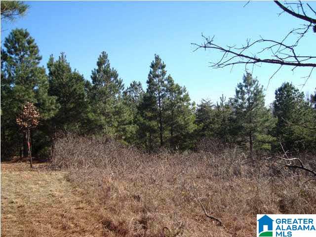 29 Highway Ac Al, Unit 33 Oneonta, AL 35121 - Photo 14 of 23